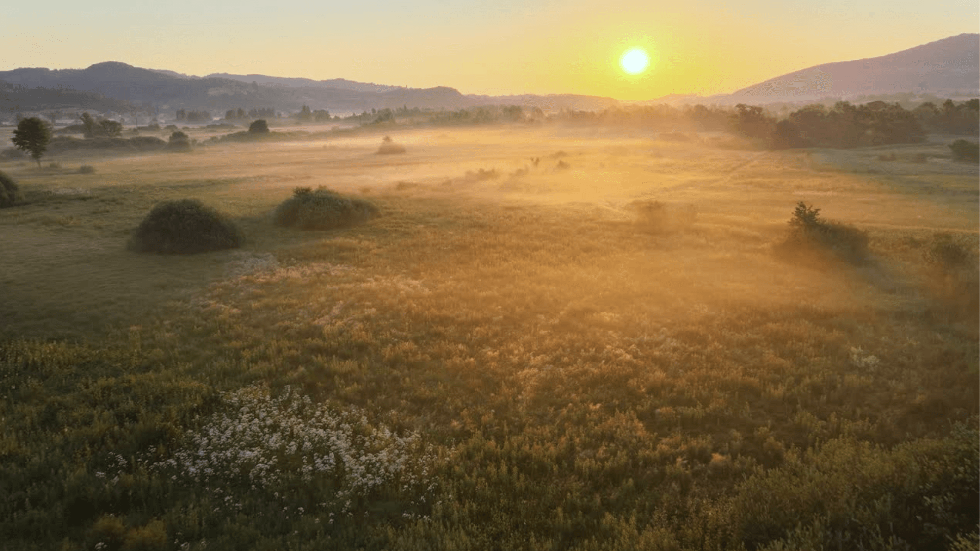 Morning mist over a quiet field